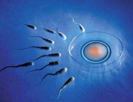 福建试管代怀咨询|福建供卵试管婴儿胚胎培养室