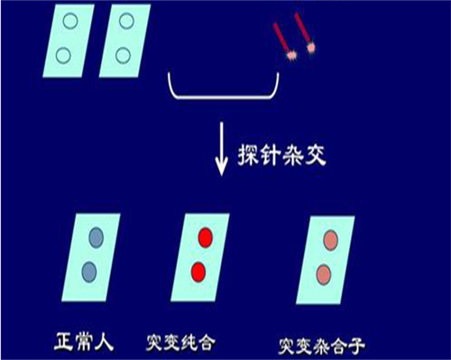 东莞单身女性必看·子宫发育不良不孕试管避坑全攻略